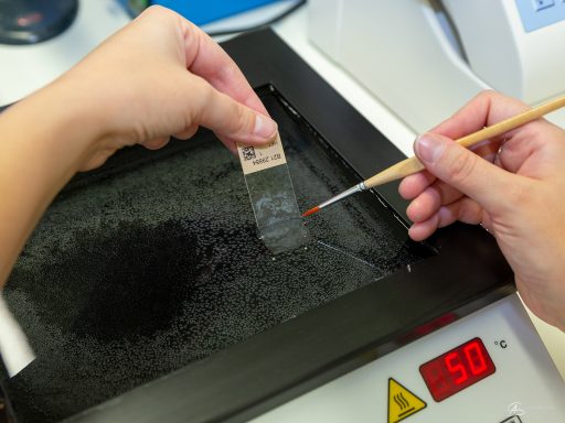 Hand hält einen Färbe-Aufsatz über eine beschichtete Fläche in einem Labor.